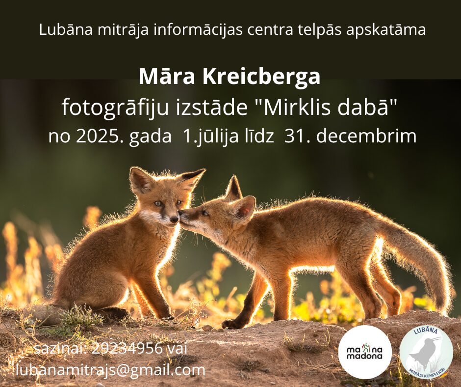 Lubana_mitraja_informacijas_centra_telpas_apskatama.jpg