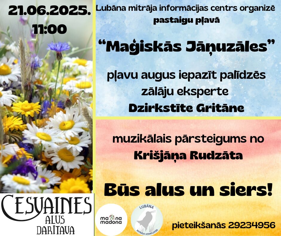 Lubana_mitraja_informacijas_centrs_organize__2_.jpg