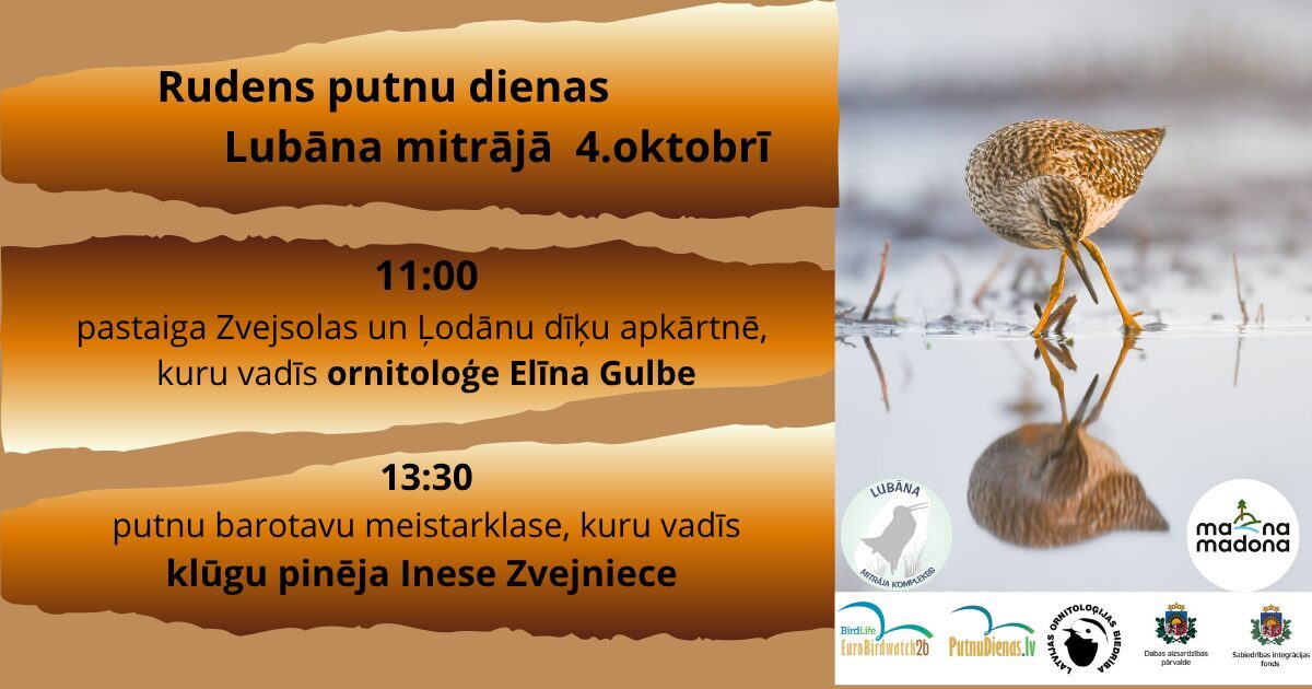 4.oktobrī Rudens putnu dienas Lubāna mitrājā